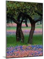 Texas Wildflowers and Dancing Trees, Hill Country, Texas, USA-Nancy Rotenberg-Mounted Photographic Print