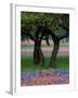 Texas Wildflowers and Dancing Trees, Hill Country, Texas, USA-Nancy Rotenberg-Framed Photographic Print