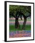 Texas Wildflowers and Dancing Trees, Hill Country, Texas, USA-Nancy Rotenberg-Framed Photographic Print