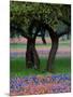 Texas Wildflowers and Dancing Trees, Hill Country, Texas, USA-Nancy Rotenberg-Mounted Photographic Print