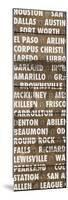 Texas Wood Type-Dan Meneely-Mounted Premium Giclee Print
