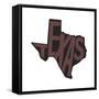 Texas-Art Licensing Studio-Framed Stretched Canvas