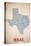 Texas-American Flat-Stretched Canvas