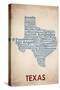 Texas-American Flat-Stretched Canvas