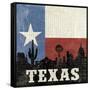 Texas-Moira Hershey-Framed Stretched Canvas