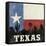 Texas-Moira Hershey-Framed Stretched Canvas