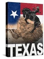 Texas-Todd Williams-Stretched Canvas