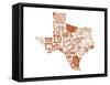 Texas-Jace Grey-Framed Stretched Canvas