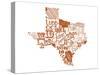 Texas-Jace Grey-Stretched Canvas