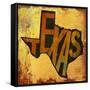 Texas-Art Licensing Studio-Framed Stretched Canvas