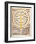 Text on Urinomancy, c.1420-Science Source-Framed Giclee Print