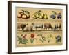 Textbook, 1880, Plate 3-null-Framed Art Print