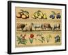 Textbook, 1880, Plate 3-null-Framed Art Print