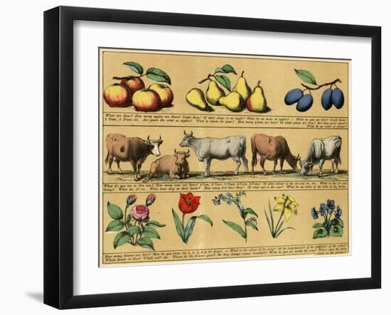 Textbook, 1880, Plate 3-null-Framed Art Print