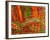 Textile Portrait-Linda Arthurs-Framed Giclee Print