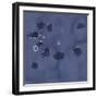 Textile Trim - Piece-Maja Gunnarsdottir-Framed Giclee Print