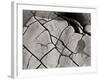 Texture 2-Lee Peterson-Framed Photographic Print