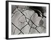 Texture 2-Lee Peterson-Framed Photographic Print