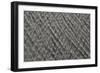 Texture 3-Lee Peterson-Framed Photographic Print