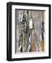 Texture and Patterns in Tree Near Sedona, Arizona, USA-Diane Johnson-Framed Photographic Print