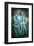 Texture Muscari-Philippe Sainte-Laudy-Framed Photographic Print