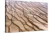 Texture of Algae near Grand Prismatic Hot Spring Pool in Yellowstone National Park-AdamLongSculpture-Stretched Canvas