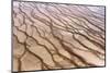 Texture of Algae near Grand Prismatic Hot Spring Pool in Yellowstone National Park-AdamLongSculpture-Mounted Photographic Print