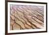 Texture of Algae near Grand Prismatic Hot Spring Pool in Yellowstone National Park-AdamLongSculpture-Framed Photographic Print