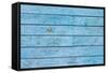 Texture of Blue Hipster Color Wood Panel. Old Shabby Painted Weathered Plank-serkus-Framed Stretched Canvas