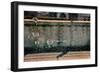 Texture of Broken Glass in Italy-null-Framed Photo