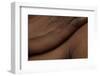 Texture of Human Skin. close up of African-American Male Body-master1305-Framed Photographic Print