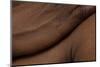 Texture of Human Skin. close up of African-American Male Body-master1305-Mounted Photographic Print