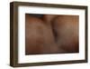 Texture of Human Skin. close up of African-American Male Body-master1305-Framed Photographic Print