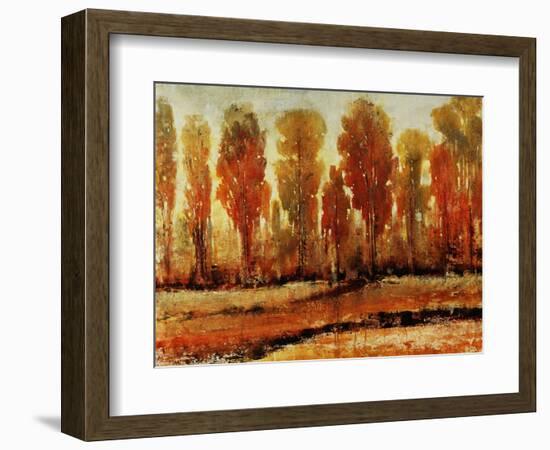 Texture of Trees-Tim O'toole-Framed Giclee Print