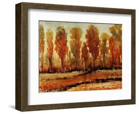 Texture of Trees-Tim O'toole-Framed Giclee Print