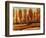 Texture of Trees-Tim O'toole-Framed Giclee Print