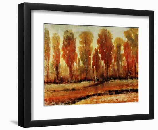 Texture of Trees-Tim O'toole-Framed Giclee Print