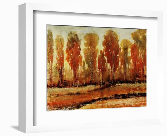 Texture of Trees-Tim O'toole-Framed Giclee Print