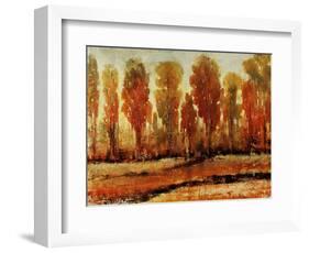 Texture of Trees-Tim O'toole-Framed Giclee Print