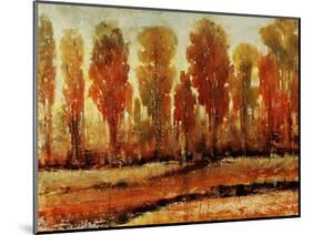 Texture of Trees-Tim O'toole-Mounted Giclee Print