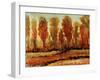Texture of Trees-Tim O'toole-Framed Giclee Print