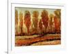 Texture of Trees-Tim O'toole-Framed Giclee Print