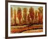 Texture of Trees-Tim O'toole-Framed Giclee Print