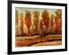 Texture of Trees-Tim O'toole-Framed Giclee Print