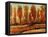 Texture of Trees-Tim O'toole-Framed Stretched Canvas