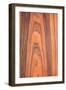 Texture Rosewood, Wood Texture Series, Natural Rural Tree Background-a_lisa-Framed Photographic Print