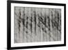 Texture Sand 1-Lee Peterson-Framed Photographic Print