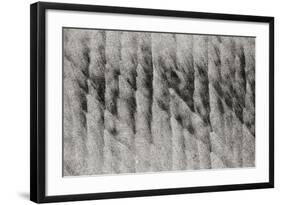 Texture Sand 1-Lee Peterson-Framed Photographic Print