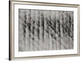 Texture Sand 1-Lee Peterson-Framed Photographic Print