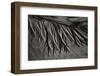 Texture Sand 2-Lee Peterson-Framed Photographic Print